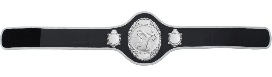 KICKBOXING CHAMPIONSHIP BELT-PRO286/S/KBOS-10+ COLOURS